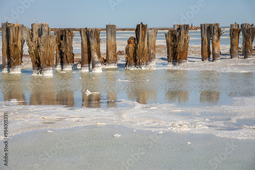 Old wooden pillars in Baskunchak salt lake, Astrakhan region, Russia photo