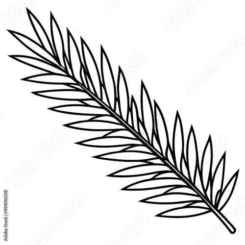 spruce branch outline coloring book page line art drawing