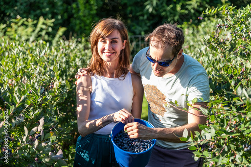 A sunny day picking blueberries