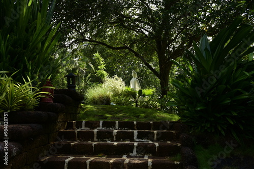 nature, outdoors, green, grass, tree, yoga,yogic, yogi, buddha, buddhism, class, classes, meditation, course, program, retreat, bliss, blessed, blissful, meadows, light streaming,old, outdoors, peace,