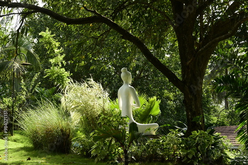 Outdoor green space for meditation and yoga practice