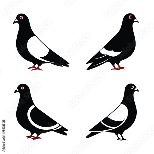 pigeon set .Art & Illustration.in white background 