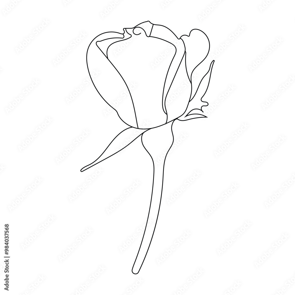continuous beautiful rose flowers sngle line art drawing vector continuous beautiful rose flowers sngle line art drawing vector