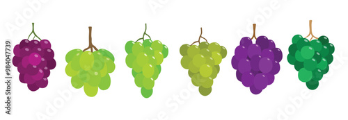 Grapes fruit vector set cute cartoon style. isolated on white background.