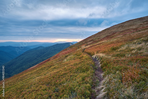 A narrow, hiking trail among the blueberry thickets on the mountainside. Autumn mountain landscape, blueberry leaves reddened by night frosts, pasty cloudy sky