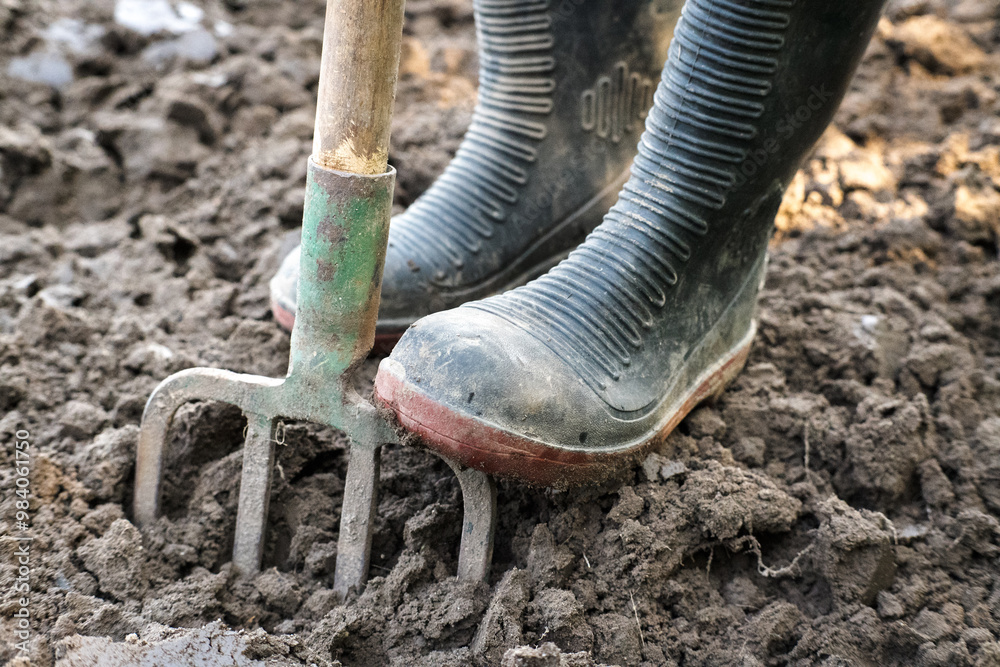 Working in the garden, loosening the soil.