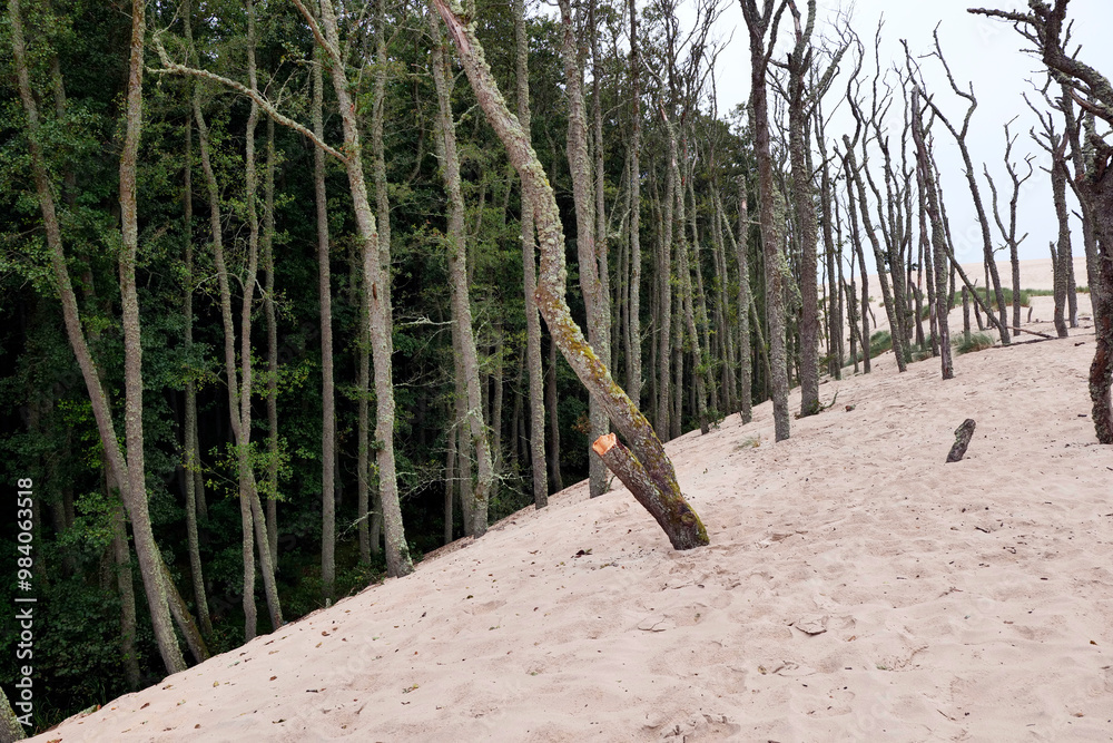 Słowiński Park Narodowy jest położony w środkowej części polskiego wybrzeża. Jest położony w środkowej części polskiego wybrzeża. Charakterystycznym elementem parku jest wydmowy pas mierzei z ruchomym