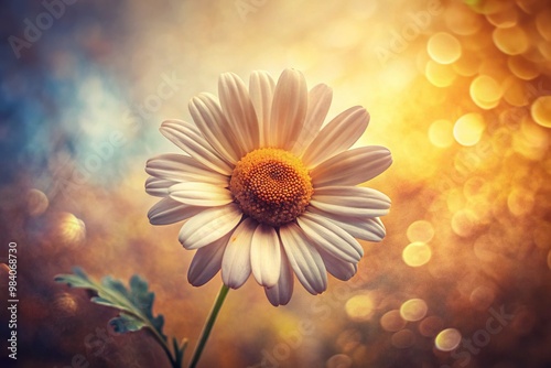 Softly glowing illumination casts a warm ambiance on a vintage Anthemis photograph, its faded colors imbuing the scene with a sense of nostalgia and timelessness. photo