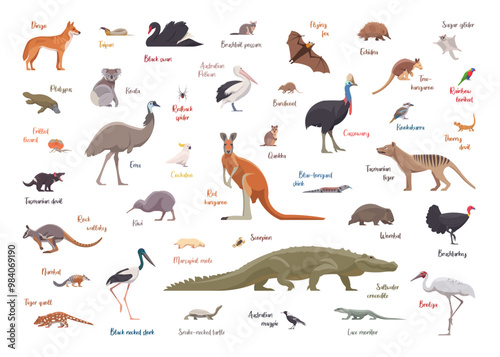 Flat set of australian animals. Isolated animals on white background. Vector illustration
