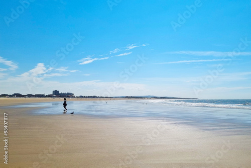 Peaceful Beach Scene with Lone Figure and Dog on a Sunny Day - Ideal for Travel Posters and Summer Designs