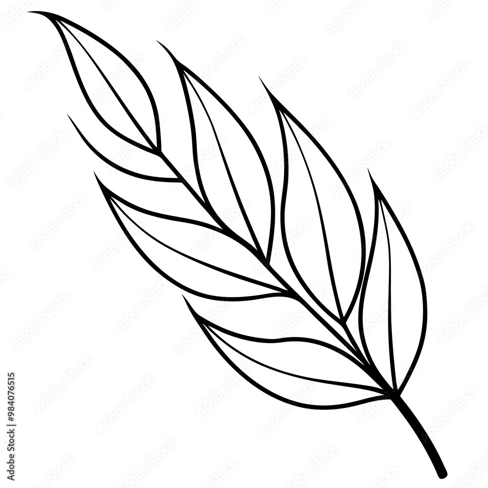 Fototapeta premium willow leaf outline coloring book page line art drawing