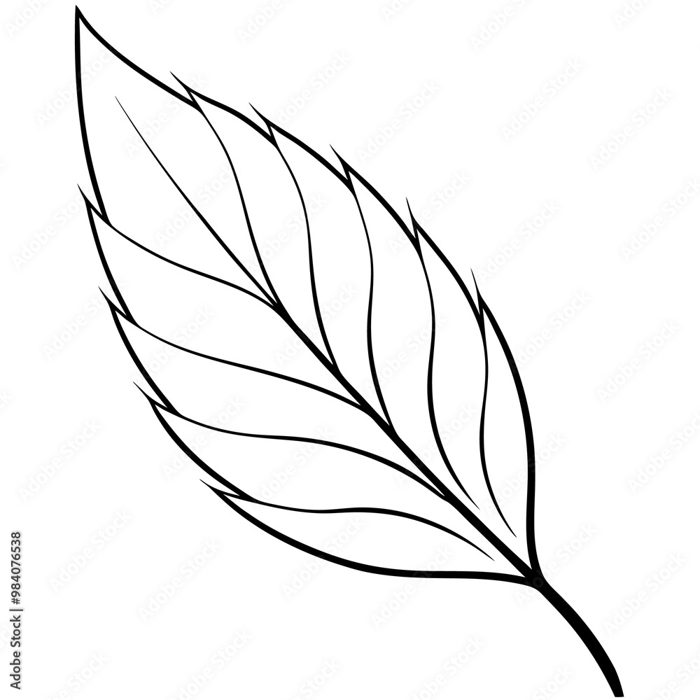 willow leaf outline coloring book page line art drawing willow leaf outline coloring book page line art drawing