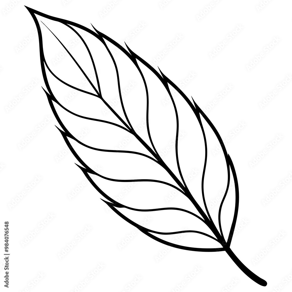 willow leaf outline coloring book page line art drawing willow leaf outline coloring book page line art drawing