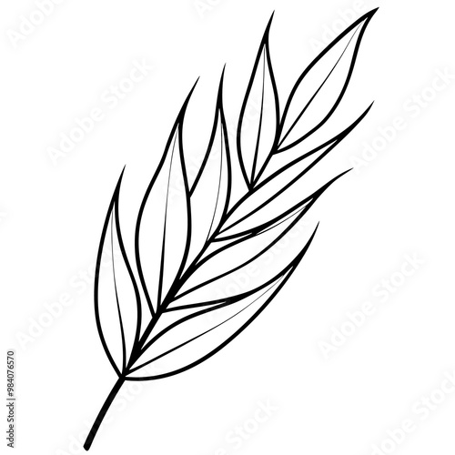 willow leaf outline coloring book page line art drawing