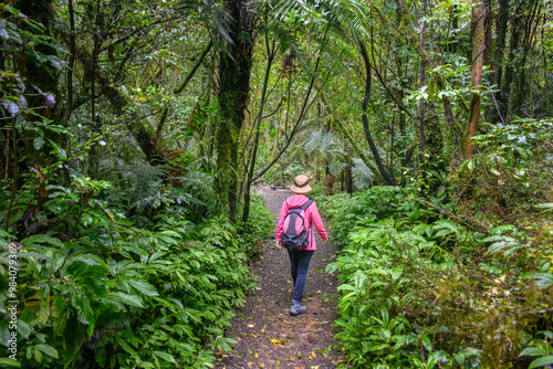 Obraz na płótnie Woman hiking in the forest towards Marokopa Falls. Waikato. North Island. New Zealand. w salonie