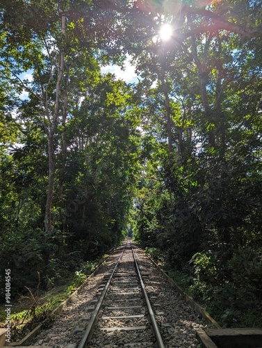 The rail line in the forest, Entrance alley to the Lawachara national park near Sreemangal, Bangladesh photo