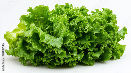 Fresh Green Lettuce on White Background