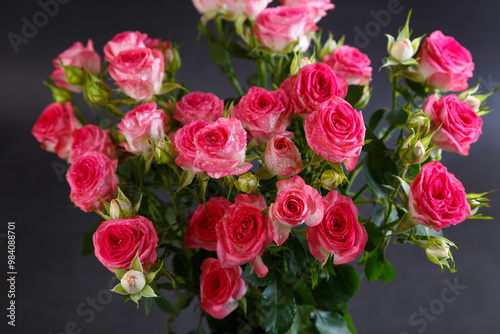 Fototapeta Naklejka Na Ścianę i Meble -  Beautiful bouquet of pink (red) roses bushes with water drops on a black background. Selective focus, close-up.