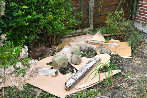 Putting cardboard in a flowerbed to limit the spread of weeds and keep the soil moist. Lasagne method. The whole area will be covered with mulch.