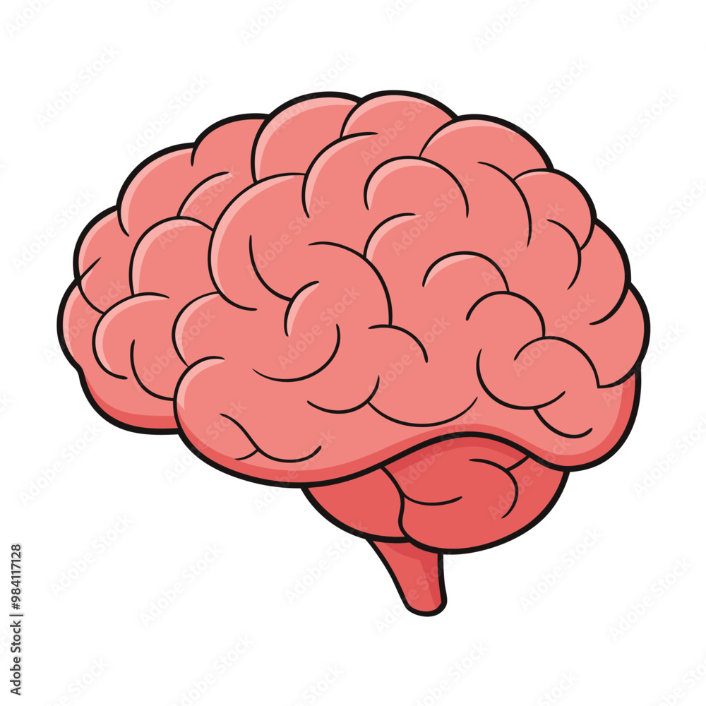 Simplified Human Brain Vector with Bold Outlines and Pink Tones. Simplified Human Brain Vector with Bold Outlines and Pink Tones.