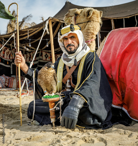 Arabian warrior sitting with his camel and falcon in front of his traditional Bedouin tent 