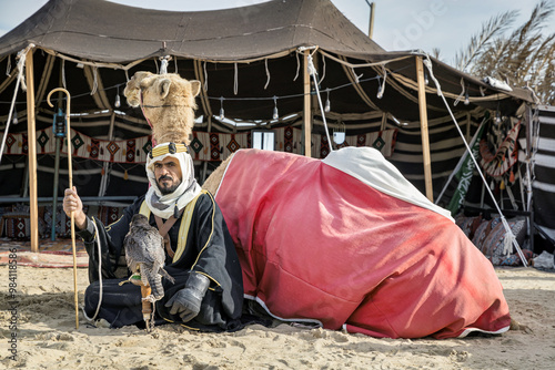 Valokuva Arabian warrior sitting with his camel and falcon in front of his traditional Be