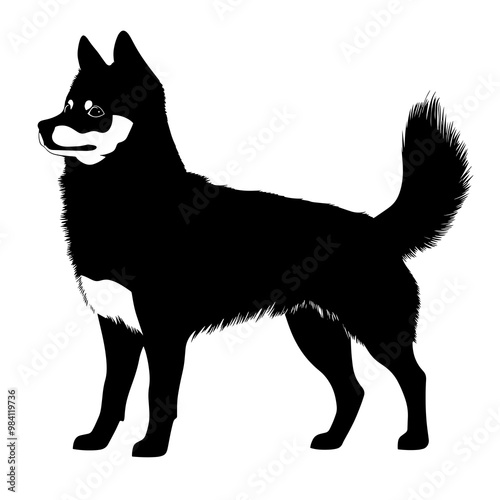 vector silhouette of a Alaskan Klee Kai