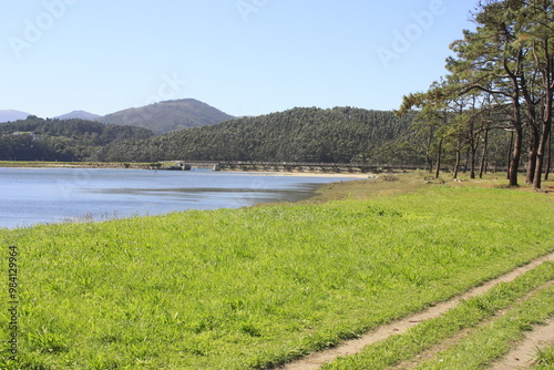 Ría de Navia en Asturias, arboleda y embalse.