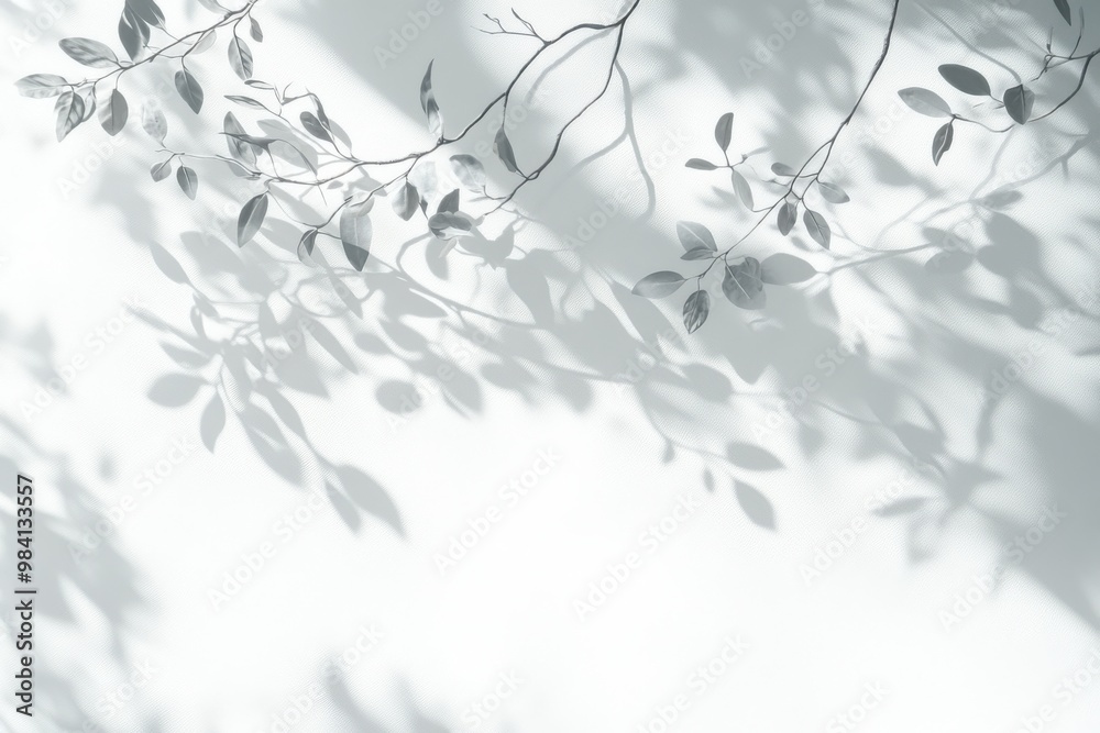 A soft, delicate shadow of tree branches cast on a clean white background. The light and shadow A soft, delicate shadow of tree branches cast on a clean white background. The light and shadow