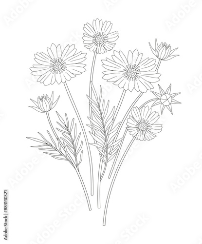 Bouquet of cosmea flowers with leaves. Bunch of blooming perennial wild plants. Line art, minimal style, contour. Botanical hand-drawn elements for design projects. Vector illustration