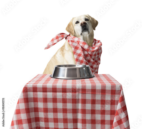 Принти на полотні Dog sitting at the table and having a meal