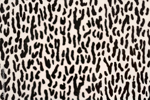 Black and white animal skin print with abstract pattern and irregular spots for fashion background