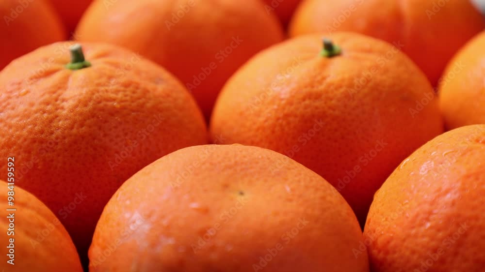 oranges fruit, closeup of orange fruit oranges fruit, closeup of orange fruit