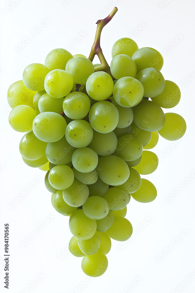 bunch of green grapes bunch of green grapes