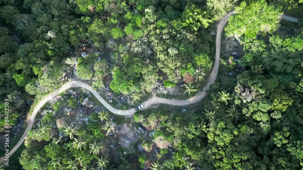 Aerial view of green Jungle mountain curved street with car driving tropical landscape Aerial view of green Jungle mountain curved street with car driving tropical landscape