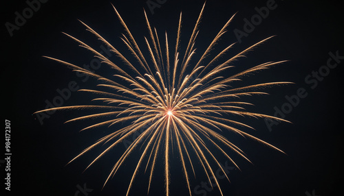 Fireworks Display Art, Celebration, holidays photo