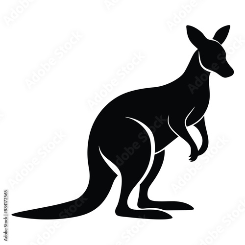kangaroo vector illustration