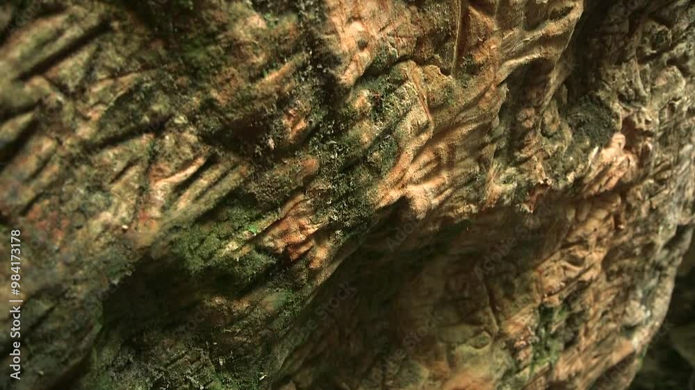 Various Historical Carvings of Letters and Symbols on the Old Cave Wall. Cave on the Slope of the Right Bank of the Ancient Valley of River is the Largest Cave in Baltics. Various Historical Carvings of Letters and Symbols on the Old Cave Wall. Cave on the Slope of the Right Bank of the Ancient Valley of River is the Largest Cave in Baltics.