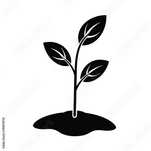 small-plant-is-breaking vector silhouette
