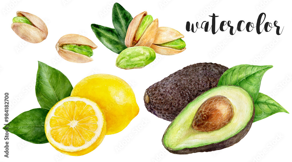 Hand-Painted Watercolor Avocado, Lemon, and Pistachio Botanical Illustration Hand-Painted Watercolor Avocado, Lemon, and Pistachio Botanical Illustration