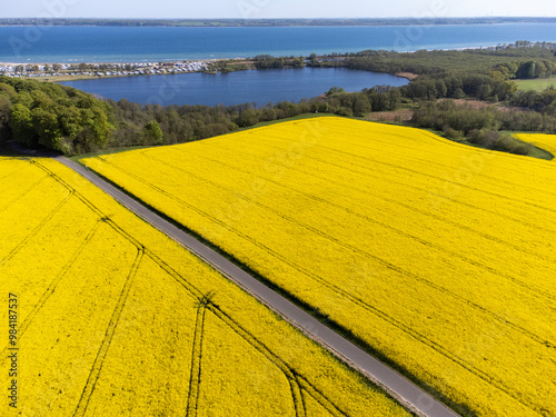Drohnenfoto von Rapsfeldern an der Eckernförder Bucht, Schleswig-Holstein,Deutschland
