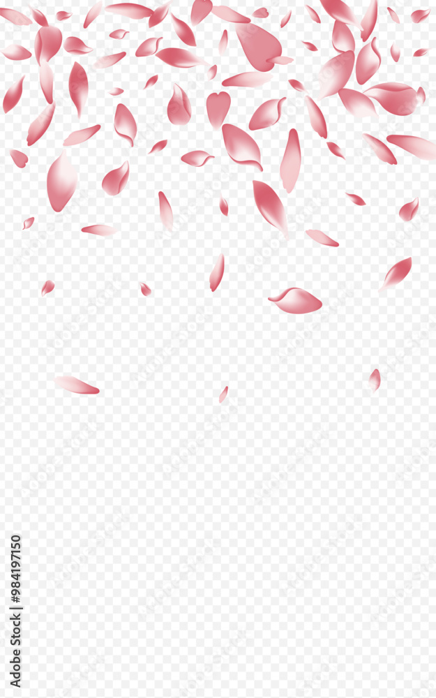1600x2560grad-01__Pudra1_01.eps 1600x2560grad-01__Pudra1_01.eps