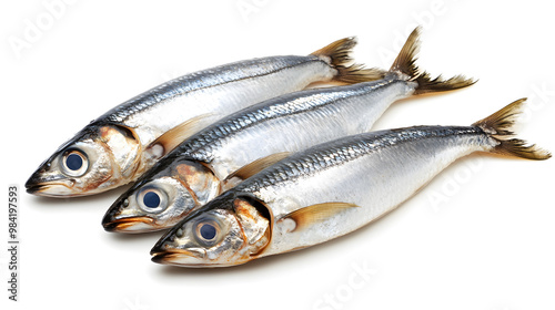 Herring fish isolated on white background