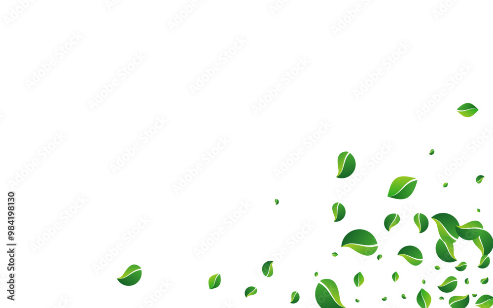 Green_Leaves_white_background_940.eps Green_Leaves_white_background_940.eps