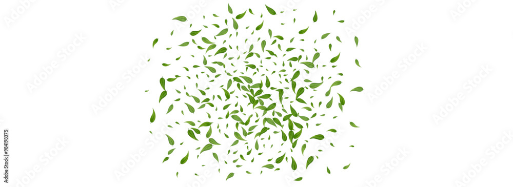 Obraz premium Leaves_Vortex_Flying_Vector_Background_35.eps