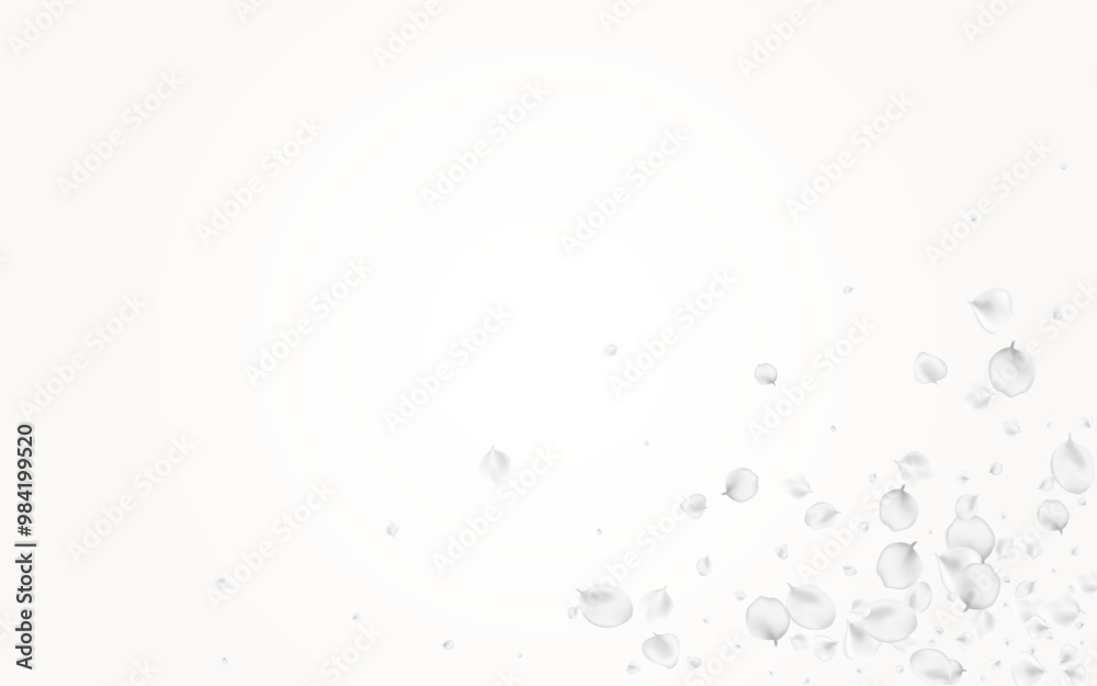 White_petals_gray_background_347.eps White_petals_gray_background_347.eps