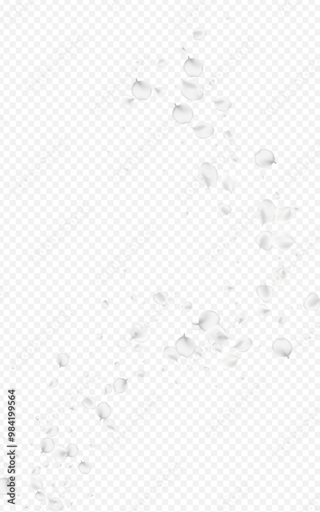 White_petals_transparent_background_99.eps White_petals_transparent_background_99.eps
