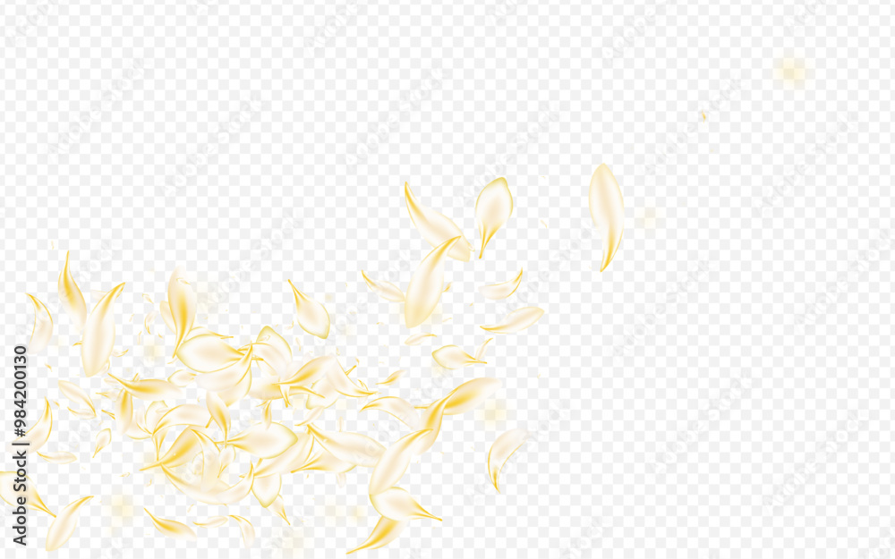 Yellow_petals_transparent_background_745.eps Yellow_petals_transparent_background_745.eps