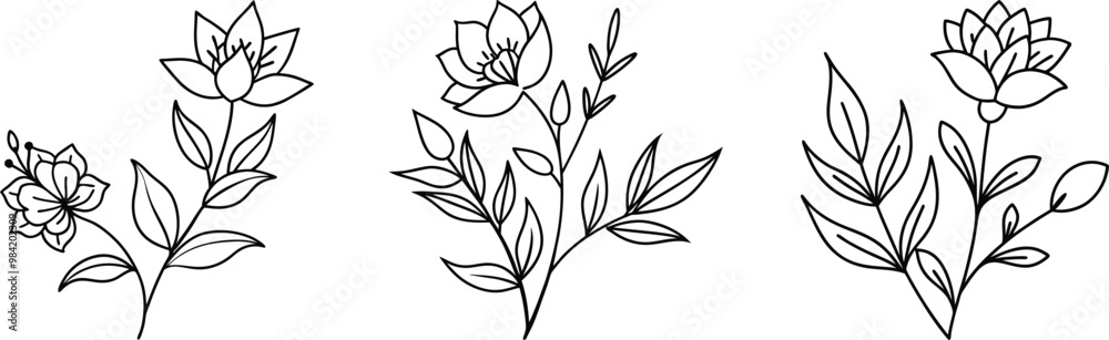 Simple delicate hand drawn flowers and branches Simple delicate hand drawn flowers and branches