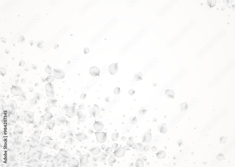 White_petals_gray_background_235.eps White_petals_gray_background_235.eps